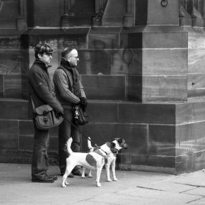 Cerbères et gardiens du temple