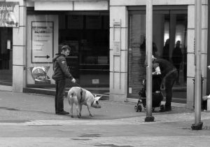 Sortie dominicale en famille