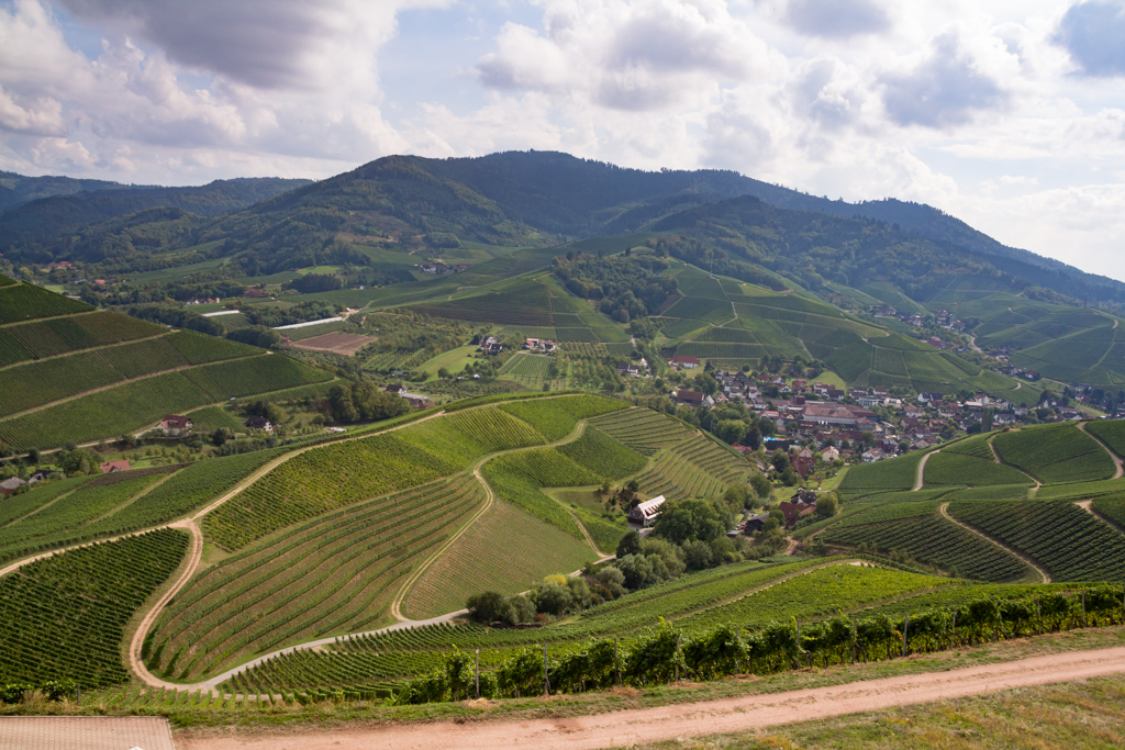 Courbes du Staufenberg